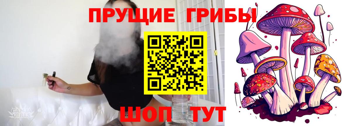 Галлюциногенные грибы мицелий Северодвинск