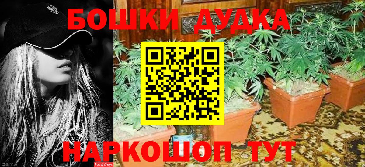 Каннабис Amnesia  Бошки Шишки марихуана  Северодвинск  Вход с VPN  Бошки Шишки Bruce Banner 